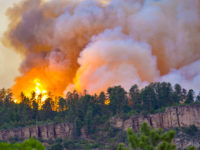 Armstrong: Rush to blame climate change ignores wildfire mitigation