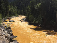 Animas River after the Gold King mine spill.
Photo courtesy of Riverhugger