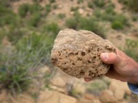 Armstrong: Colorado fossil beds help explain post-asteroid earth
